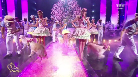 Deuxième tableau, 10 Miss défilent avec des chiens, lors de l'élection Miss France 2016 le samedi 19 décembre 2015 sur TF1