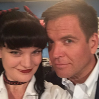 Pauley Perrette (NCIS) : Hommage touchant et mystérieux à Michael Weatherly...