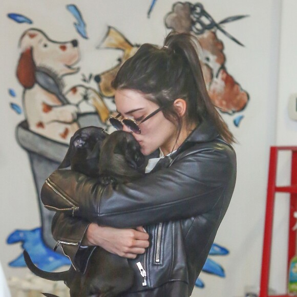 Kendall Jenner se rend dans un centre animalier pour choisir un petit chiot à West Hollywood, le 4 janvier 2016