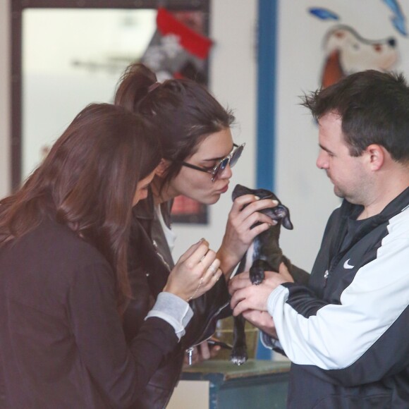 Kendall Jenner se rend dans un centre animalier pour choisir un petit chiot à West Hollywood, le 4 janvier 2016