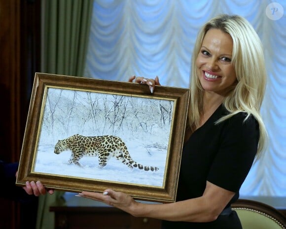 L'actrice engagée pour la cause animale Pamela Anderson rencontre le chef d'état major du Kremlin Sergueï Ivanov à Moscou le 7 décembre 2015.