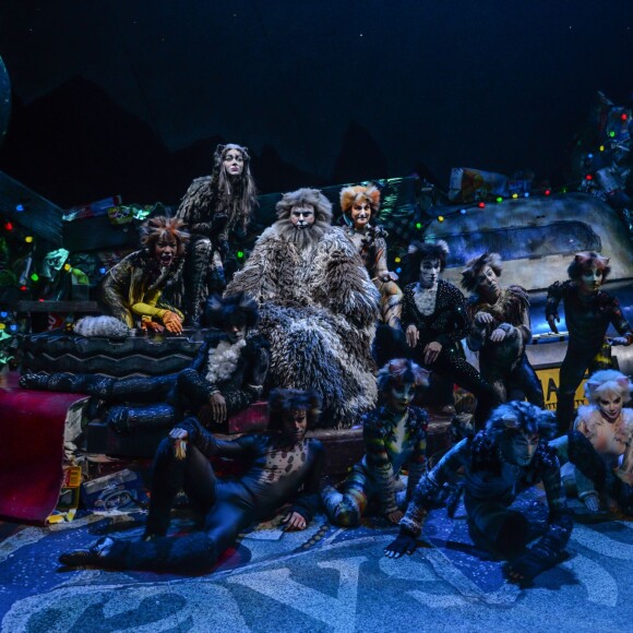 Image de la comédie musicale Cats au théâtre Mogador à Paris, le 1er octobre 2015.