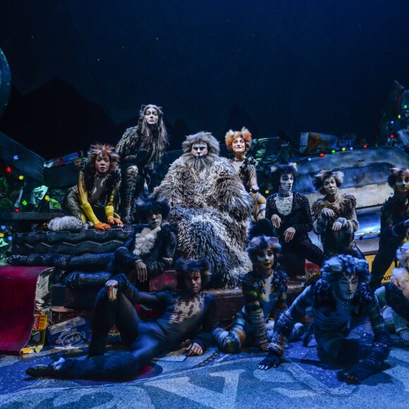 Image de la comédie musicale Cats au théâtre Mogador à Paris, le 1er octobre 2015.