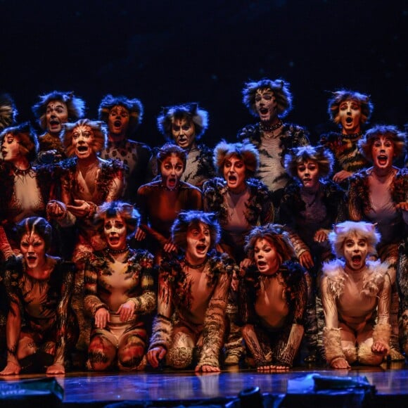 Image de la comédie musicale Cats au théâtre Mogador à Paris, le 1er octobre 2015.
