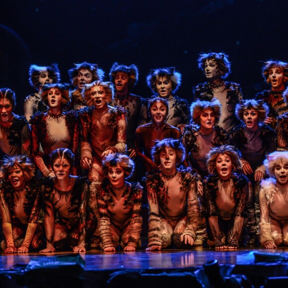 Image de la comédie musicale Cats au théâtre Mogador à Paris, le 1er octobre 2015.
