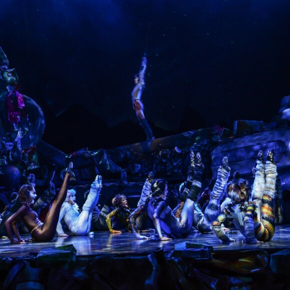 Image de la comédie musicale Cats au théâtre Mogador à Paris, le 1er octobre 2015.