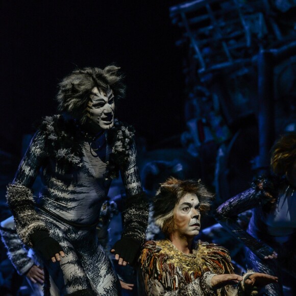 Image de la comédie musicale Cats au théâtre Mogador à Paris, le 1er octobre 2015.
