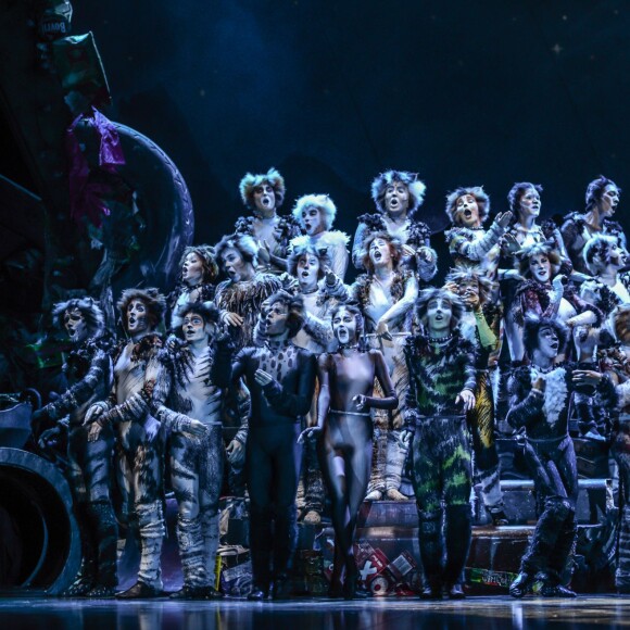 Image de la comédie musicale Cats au théâtre Mogador à Paris, le 1er octobre 2015.