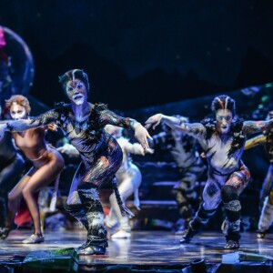 Image de la comédie musicale Cats au théâtre Mogador à Paris, le 1er octobre 2015.
