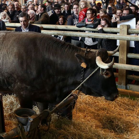 François Fillon visite le Salon International de l'Agriculture à Paris le 2 mars 2016. © Stéphane Lemouton