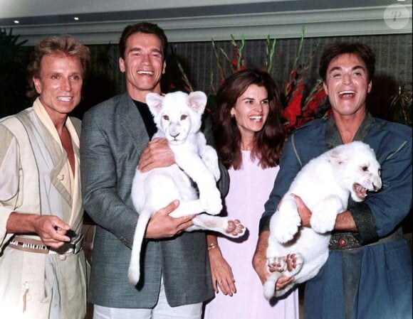 Avant l'accident : Siegfried et Roy avec Arnold Schwarzenegger et sa femme
