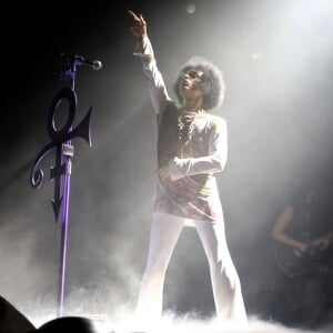 Le chanteur Prince en concert au Zénith à Paris. Le 1er juin 2014