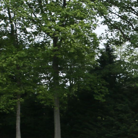 Patrice Hagelauer - 24ème édition du "Tee Break du Coeur" organisée dans un but caritatif sur le golf des Yvelines, au château de la Couharde le 17 mai 2016