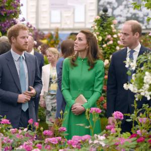 Le prince William, la duchesse Catherine de Cambridge et le prince Harry en visite au Chelsea Flower Show 2016 à Londres, le 23 mai 2016.