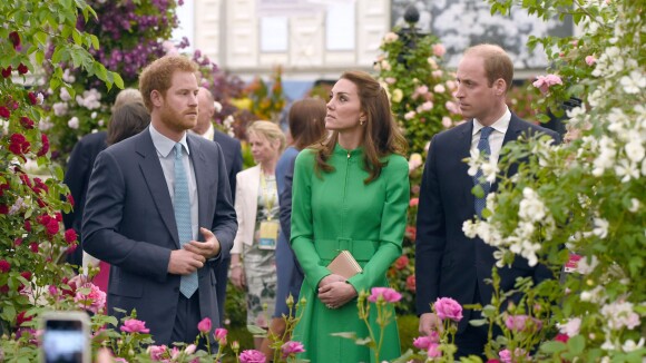 Kate Middleton, William, Beatrice et Eugenie : En famille au paradis des fleurs