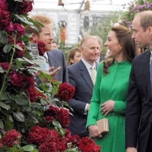 Le prince William, la duchesse Catherine de Cambridge et le prince Harry en visite au Chelsea Flower Show 2016 à Londres, le 23 mai 2016.