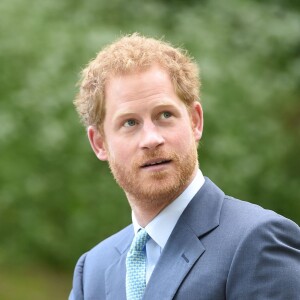 Le prince Harry au Chelsea Flower Show 2016 à Londres, le 23 mai 2016.