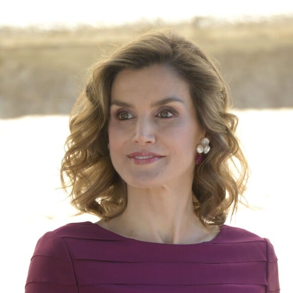 Letizia d'Espagne à Palencia le 1er juin 2016 pour la cérémonie de remise des Prix Nationaux de la Culture