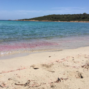 Laure Manaudou en vacances avec sa fille. Piscine, soleil et complicité ! Juillet 2016.