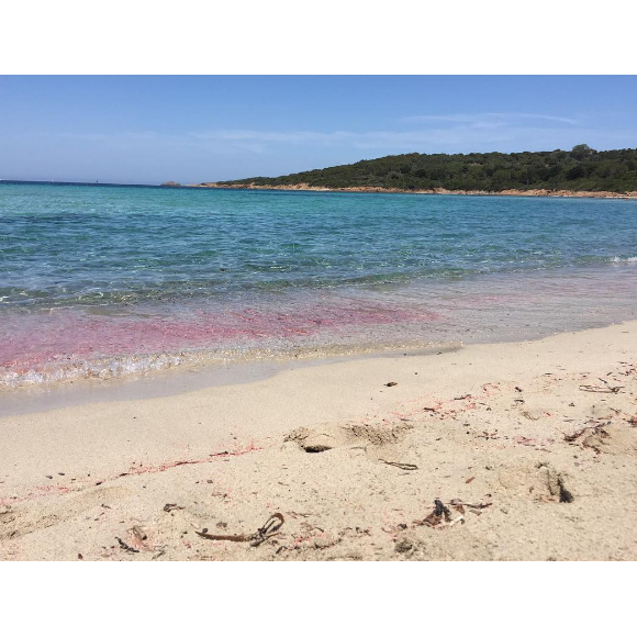 Laure Manaudou en vacances avec sa fille. Piscine, soleil et complicité ! Juillet 2016.