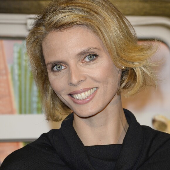 Sylvie Tellier - Avant-première du film "Zootopie" au cinéma Gaumont Marignan à Paris, le 28 janvier 2016. © Coadic Guirec/Bestimage