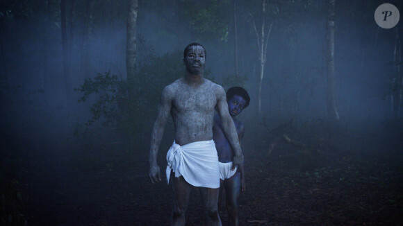 Image du film Birth of a Nation
