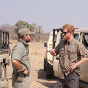 Le prince Harry a participé pendant quatre semaines au Malawi à l'opération 500 éléphants, au cours de l'été 2016, consistant à déplacer les pachydermes à plus de 350 kilomètres entre le Liwonde National Park et la réserve de Majete Wildlife pour équilibrer population et habitat naturel.