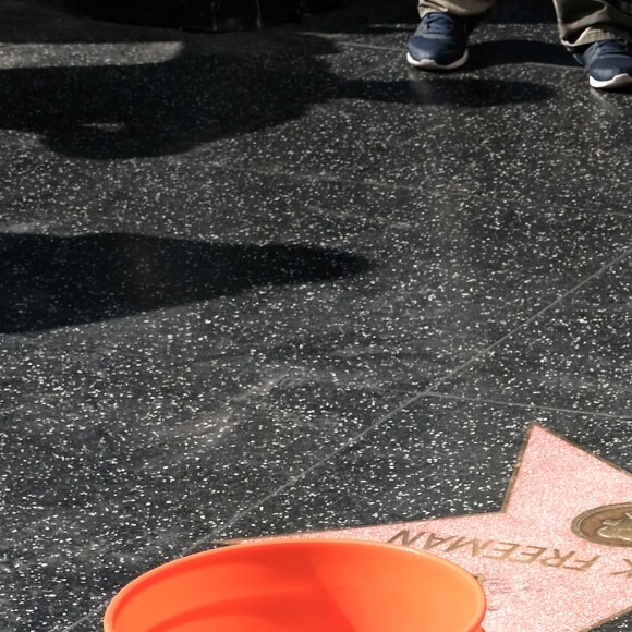 L'étoile de Donald Trump restaurée après avoir été vandalisée sur le Hollywood Walk of Fame à Los Angeles, le 26 octobre 2016.