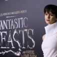 Katherine Waterston lors de la première du film "Fantastic Beasts and Where to Find Them" (Les Animaux Fantastiques) au Alice Tully Hall du Lincoln Center à New York, le 10 novembre 2016. © Charles Guerin/Bestimage