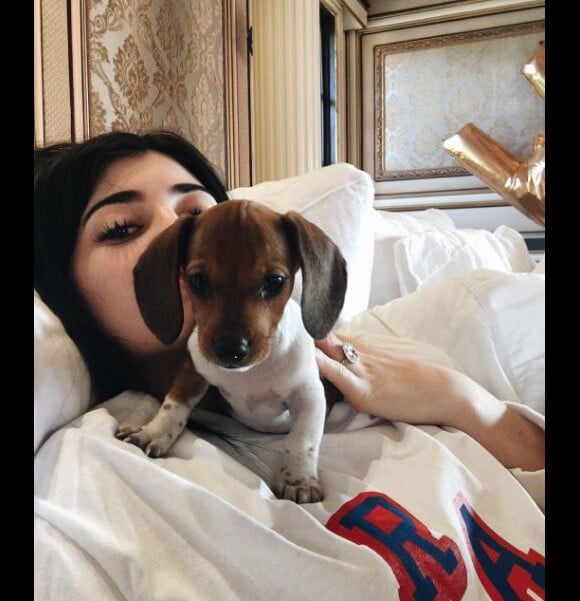 Photo de Kylie Jenner et son troisième chien, Penny. Juillet 2016.
