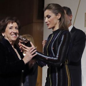 La reine Letizia d'Espagne était somptueuse et sophistiquée en robe Nina Ricci de la collection Resort 2017 pour la cérémonie des prix de journalisme Mariano de Cavia, Luca de Tena et Mingote qu'elle décernait le 13 décembre 2016 au siège du quotidien ABC avec son mari le roi Felipe VI.