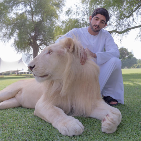 Le prince Hamdan bin Mohammed Al Maktoum, prince héritier de Dubai, photo de son compte Instagram.