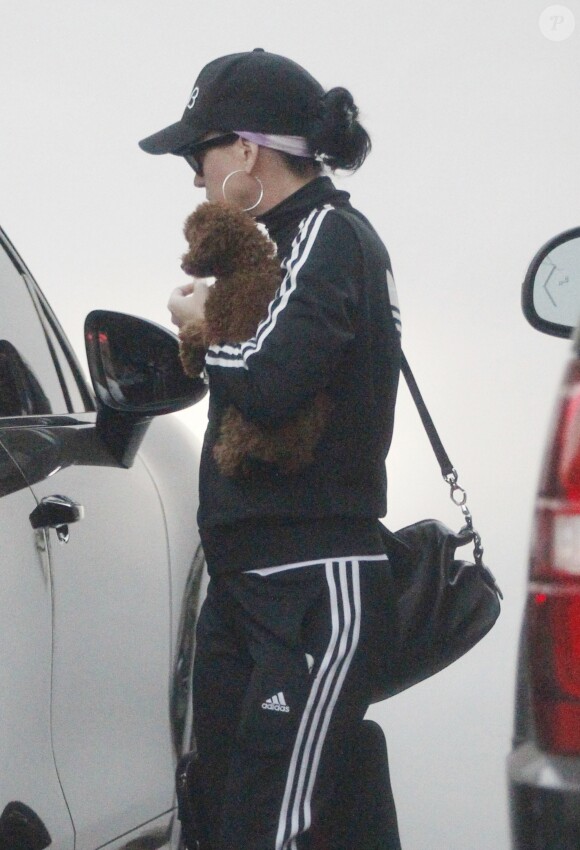 Exclusif - Katy Perry avec son chien dans les bras, quitte ses bureaux à Los Angeles, le 17 novembre 2016.