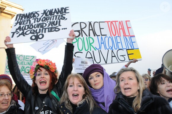 Manifestation en présence des comédiennes Anny Duperey, Danièle Evenou, Eva Darlan, Inna Shevchenko et les Femen members au Trocadéro le 10 décembre 2016