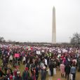 Illustrations de la "Marche des Femmes" (The Women's March) contre l'élection de Donald Trump à Washington, le 21 janvier 2017. © Morgan Dessales/Bestimage