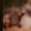 Photocall de L'exposition qui revenait en images sur le Projet Kilifi lancé début 2016 par l'AMREF en partenariat avec la Fondation Princesse Charlène à la soirée de gala de L'AMREF Flying Doctors à Monaco le 24 février 2017 © Claudia Albuquerque / Bestimage