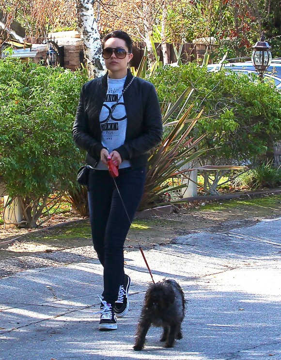 Amanda Bynes promene son chien avec sa mere Lynn Organ a Thousand Oaks, le 8 decembre 2013.