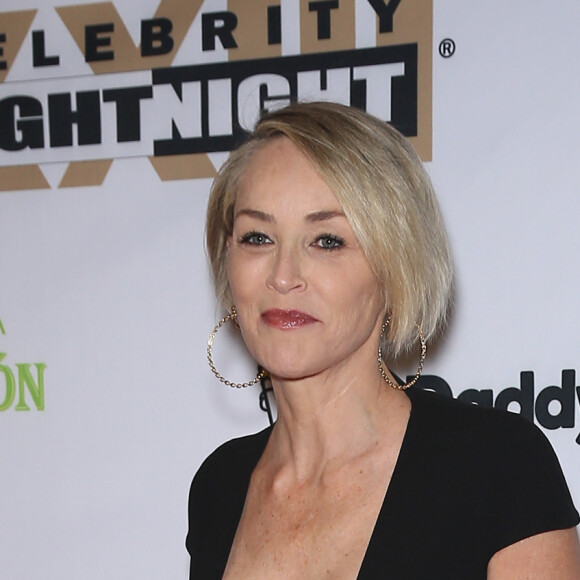 Sharon Stone à la soirée Human Rights Campaign au JW Marriott à Los Angeles, le 18 mars 2017 © AdMedia via Zuma/Bestimage