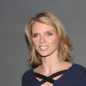 Sylvie Tellier - Avant-première du film "Alliés" au cinéma UGC Normandie à Paris, le 20 novembre 2016. © Denis Guignebourg/Bestimage