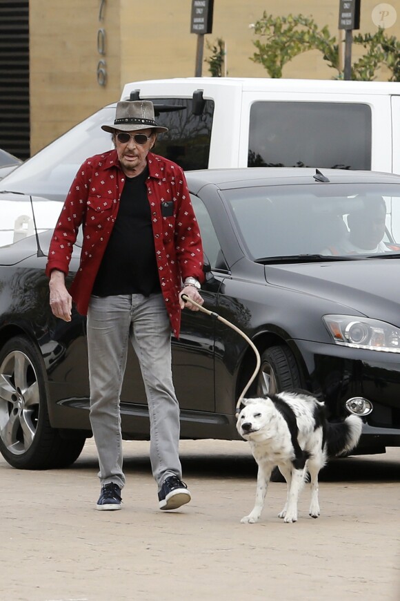 Johnny Hallyday arrive avec sa chienne Cheyenne pour aller déjeuner avec ses amis, P. Rambaldi et le musicien J.C. Sindres au restaurant Nobu dans le quartier de Malibu à Los Angeles, le 2 avril 2017.