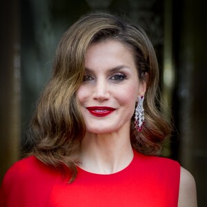 La reine Letizia d'Espagne quitte son hôtel à La Haye, pour une soirée privée pour le cinquantième anniversaire du roi Willem-Alexander des Pays-Bas, le 29 avril 2017