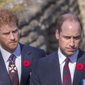 Le prince William, duc de Cambridge, et le Prince Harry lors des commémorations des 100 ans de la bataille de Vimy, le 9 avril 2017.