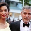 George Clooney papa de jumeaux : Ces stars devenues parents après 50 ans !
