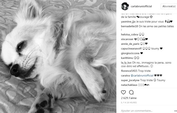 Carla Bruni-Sarkozy annonce la mort de son chien Toumy sur Instagram le 27 juin 2017, Capucine Anav est attristée dans les commentaires.