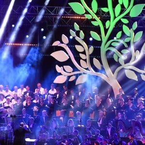 Calogero, ému - Concert en hommage aux victimes de l'attentat du 14 juillet 2016 à Nice, le 14 juillet 2017. © Bruno Bébert/Bestimage