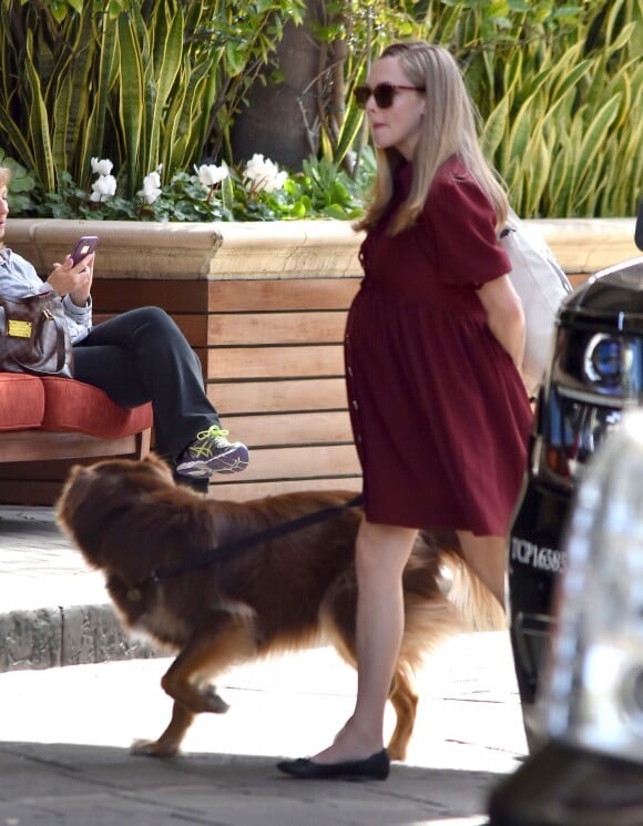 Exclusif - Amanda Seyfried enceinte promène son chien Finn avec son fiancé Thomas Sadoski dans les rues de Beverly Hills, le 3 mars 2017