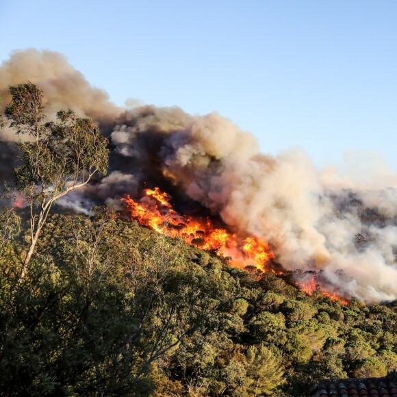 Un départ d'incendie attisé par un vent très violent s'est déclaré à 19 h30 dans les collines de Gigaro, à La Croix-Valmer le 23 juillet 2017. Le fameux site de l'Escalet a été ravagé et le panache de fumée poussé par un mistral impressionnant a envahi la baie de Pampelonne et est visible dans tout le Golfe de Saint-Tropez. Canadairs et trackers ont tournoyé jusqu'à la nuit tombée en espérant contenir un feu attisé par un vent extrêmement virulent. En vain. L'incendie a dévalé au galop sur Gigaro avant de s'attaquer à Escalet, où la panique a gagné les habitants, évacués la nuit. Plus de 300 ha sont déjà partis en fumée. © Dominique Jacovides-Cyril Moreau/Bestimage