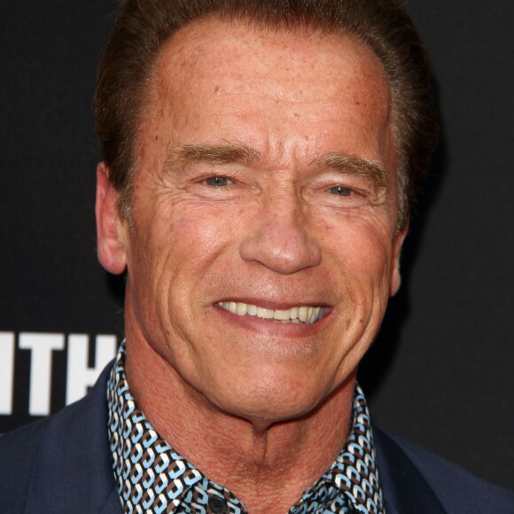 Arnold Schwarzenegger à la soirée de Gala Rebels With A Cause à The Barker Hangar à Santa Monica, le 11 mai 2016