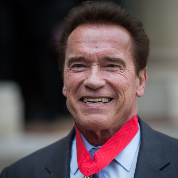 François Hollande remet les insignes de la légion d'honneur à Arnold Schwarzenegger pour son engagement en faveur de l'environnement au palais de l'Elysée à Paris le 28 avril 2017. © Cyril Moreau / Bestimage