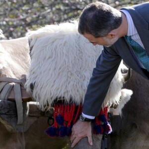 Le roi Felipe VI et la reine Letizia visitent Poreñu, désigné "Village exemplaire des Asturies 2017", le 21 octobre 2017.